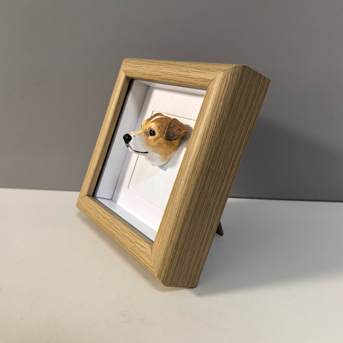 PetMemento Frame