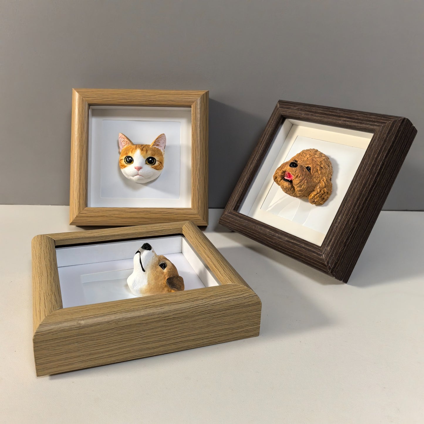 PetMemento Frame