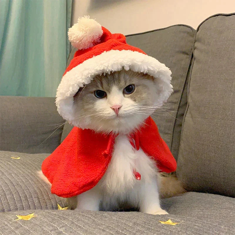 Cat Christmas Costume: Santa Cape, Hat & Scarf for Pets