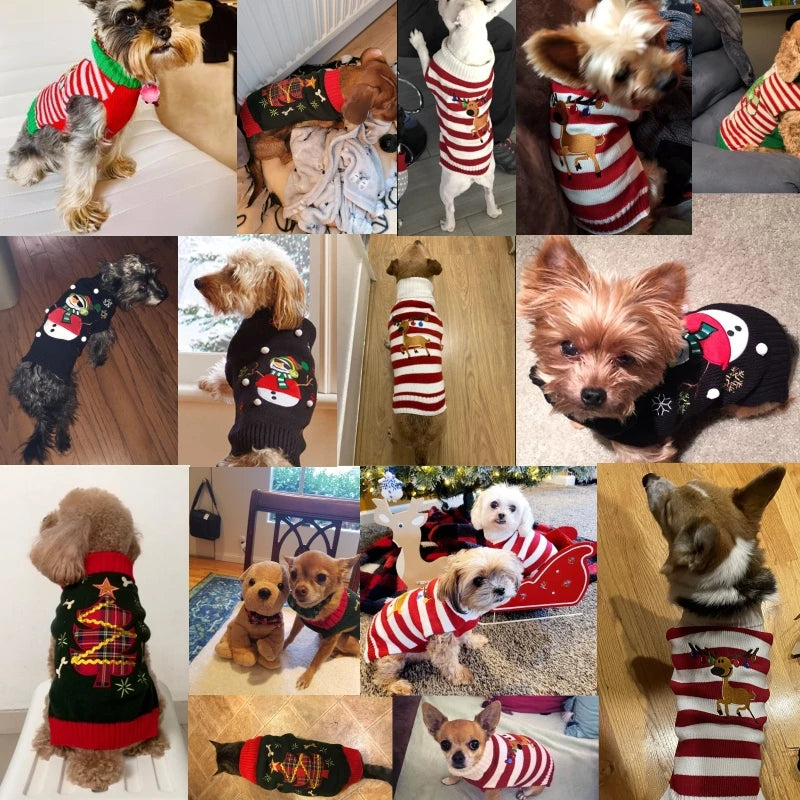 Cartoon Reindeer Sweater: Warm Christmas Knitwear for Pets