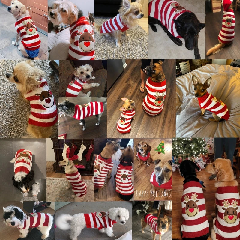 Cartoon Reindeer Sweater: Warm Christmas Knitwear for Pets