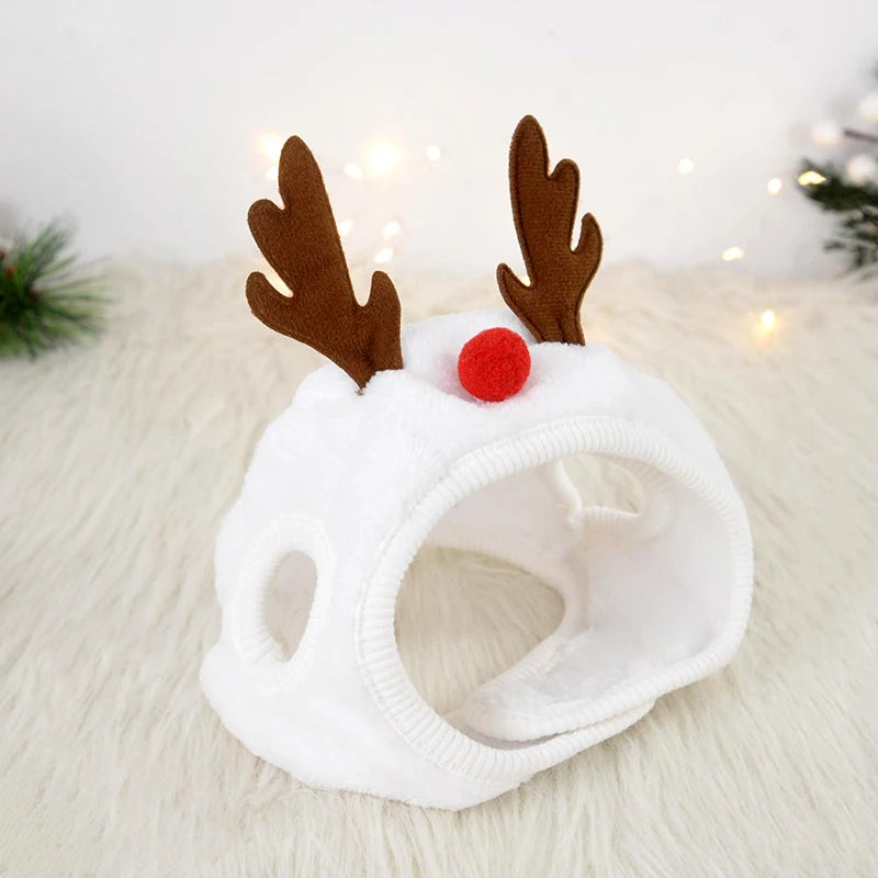 Christmas Hat & Bib Set: Festive Costume for Dogs & Cats