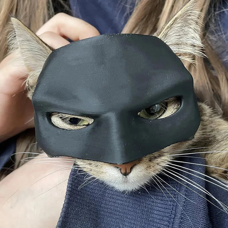 Black Bat Cat Mask: Halloween Costume for Cats & Dogs (5 Sizes)