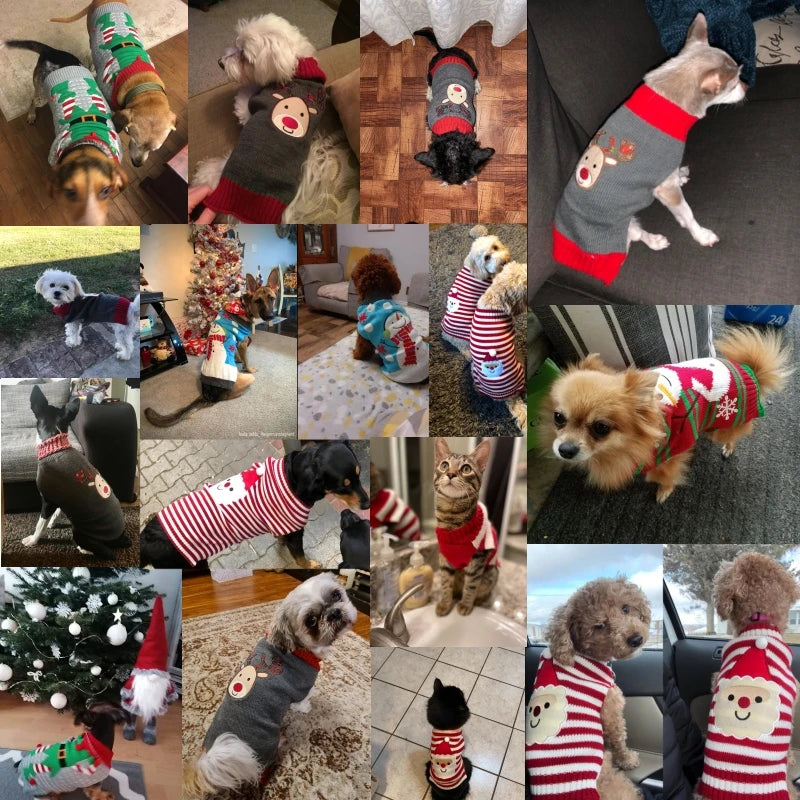 Cartoon Reindeer Sweater: Warm Christmas Knitwear for Pets