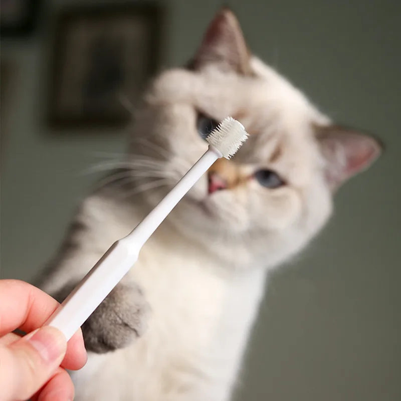 Soft Cat Toothbrush: Gentle Brush for Teeth Cleaning & Grooming