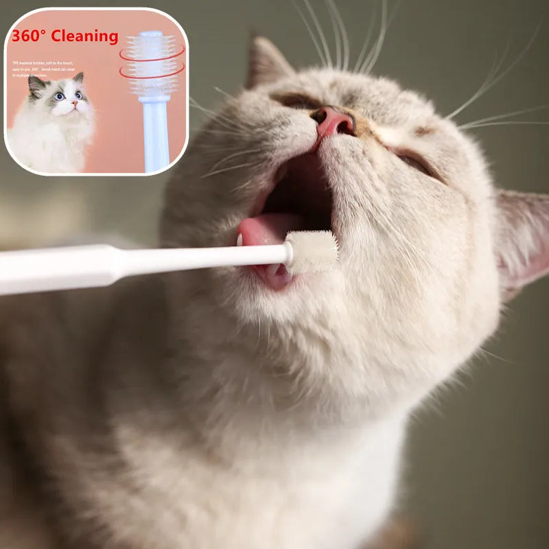 Soft Cat Toothbrush: Gentle Brush for Teeth Cleaning & Grooming