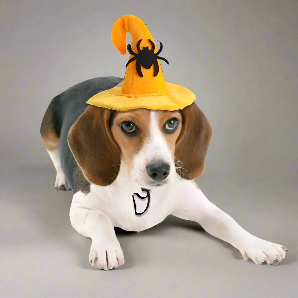 Halloween Bat Wings Costume: Funny Cosplay for Cats & Dogs